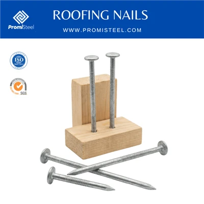 Dachnägel mit Ringschaft Promisteel